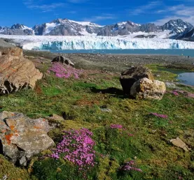 Glaciers and beautiful arctic tundra.