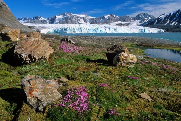 Glaciers and beautiful arctic tundra.