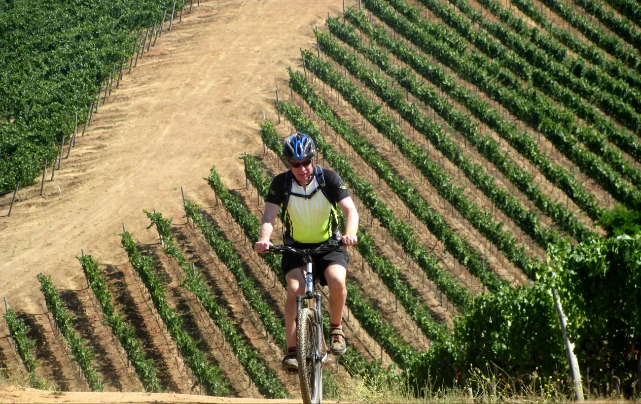 Exploring Chile's famous wine country on two wheels!