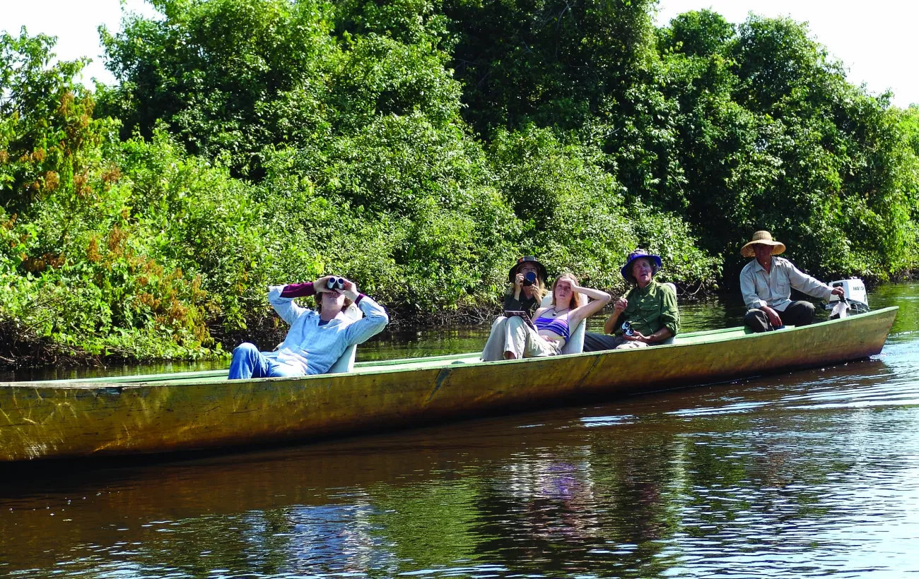 Keep an eye to the rainforest canopy for an array of wildlife in Madidi National Park in Bolivia