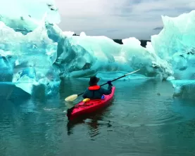 Kayaking Tracy Arm Fjord in Tongass National Forest.