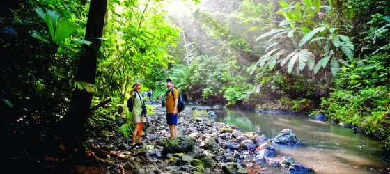 Trekking through Corcovado National Park in Costa Rica.