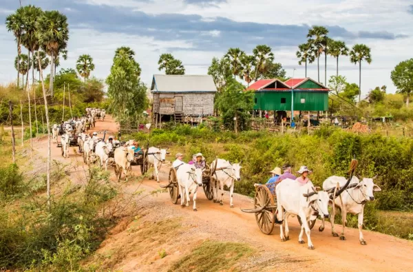 Locals moving in carts pulled by cattle in Cambodia. 