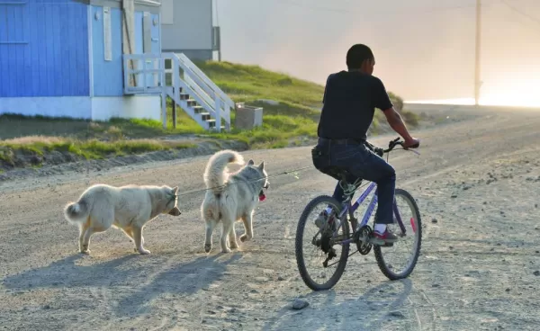 Local biking with his dogs at his side.
