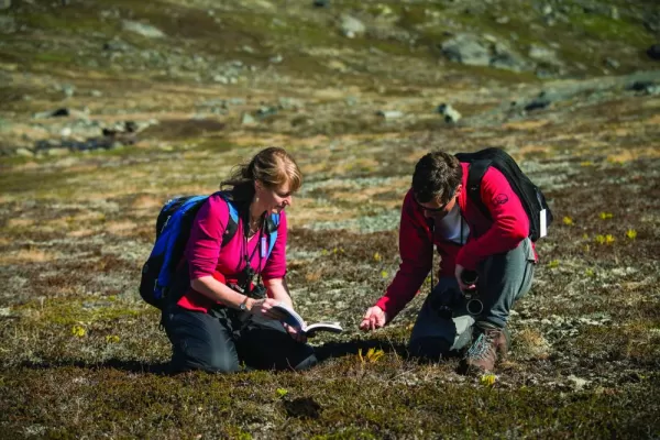 Travelers studing local plants in the tundra.