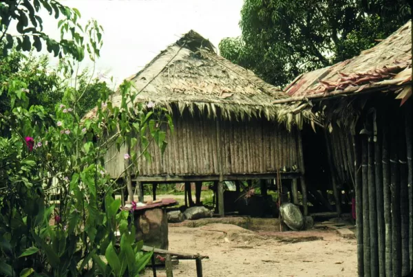 Local housing in the Amazon.