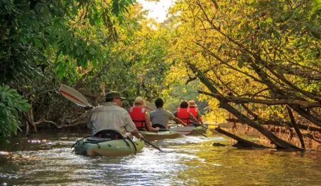 Kayaking through the Amazon.