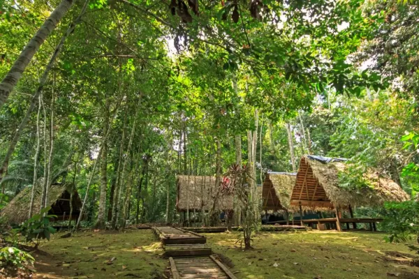 A campsite in the Amazon.