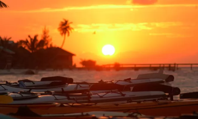 Kayaks at sunset on the Glover's Reef beach