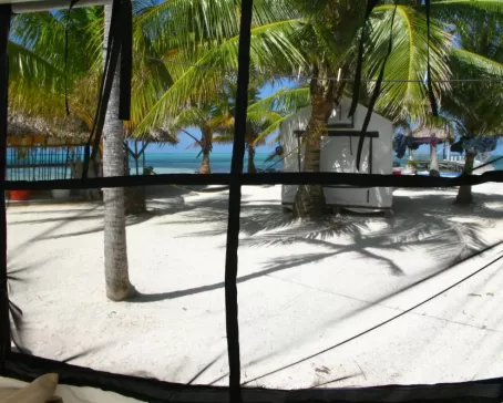 A view from inside one of Glovers Reef Field Camp tents