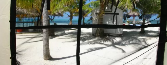 A view from inside one of Glovers Reef Field Camp tents