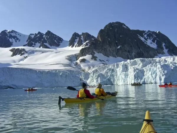 A group of kayakers in the polar waters.