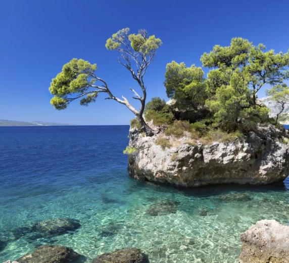 A small island sits out in the crystal clear waters of the sea.