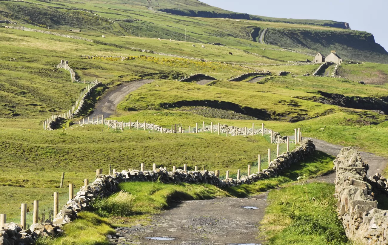 The rolling hills of the British Isles.