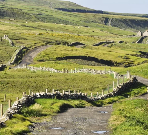 The rolling hills of the British Isles.