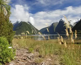A beautiful view of Milford Sound.