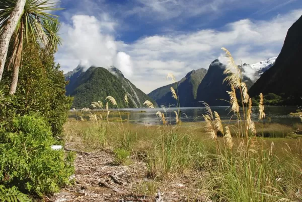 A beautiful view of Milford Sound.