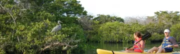 A kayaking trip to see the local bird life of the Galapagos.