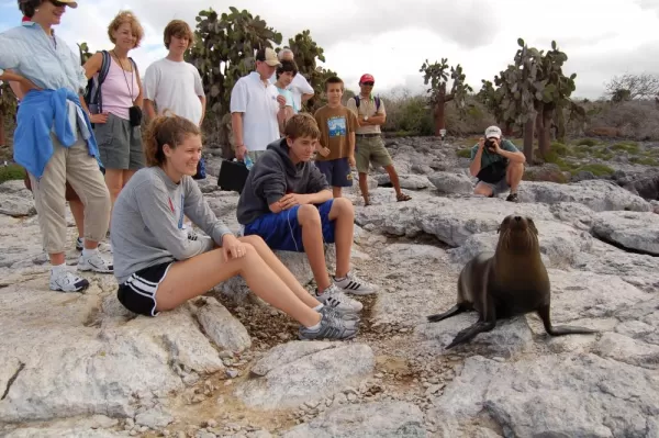 Travelers sit on the rocks and watch a seal in action.