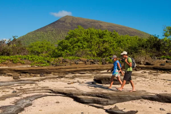 Take a walk through the unique landscape of the Galapagos.