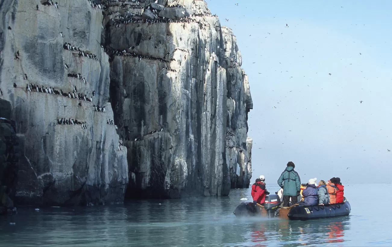 Sail past bird colonies on your Arctic cruise