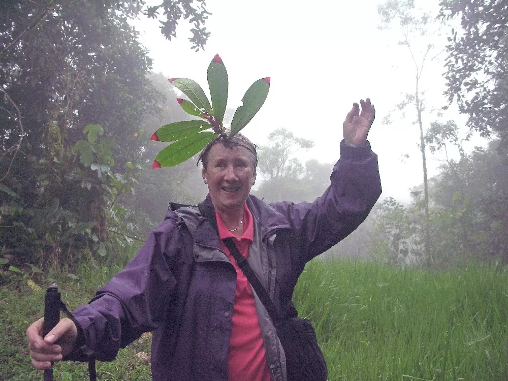 Queen of the Cloudforest 