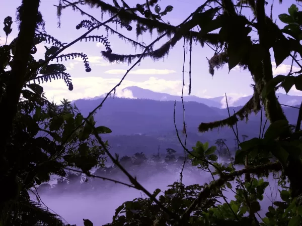 Cloudforest in Mindo