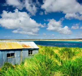 The pristine and remote landscape of the Falkland Islands