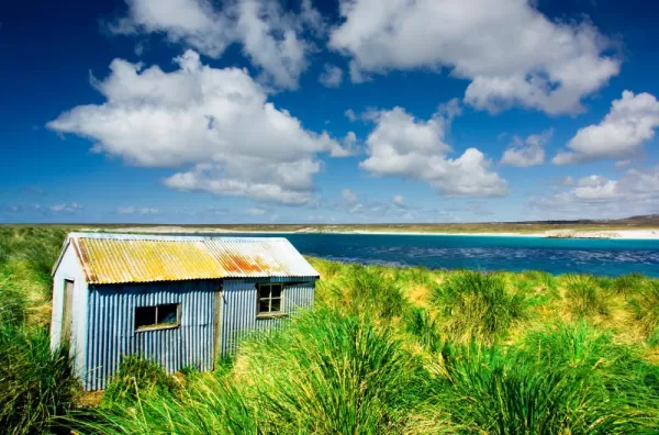 The pristine and remote landscape of the Falkland Islands