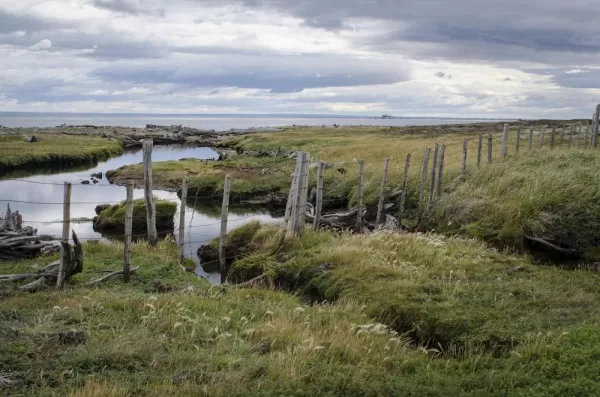 Wander the peaceful moors of Patagonia