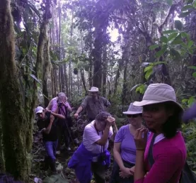Hiking in the cloudforest