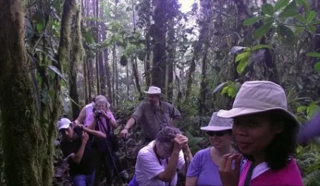 Hiking in the cloudforest