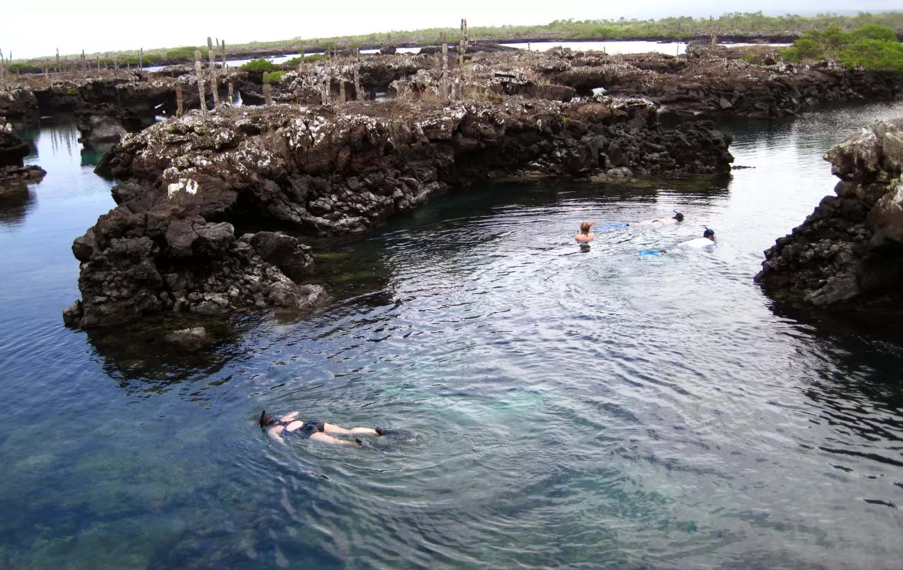Galapagos snorkeling