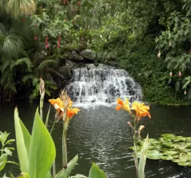 Quito Botanical Gardens