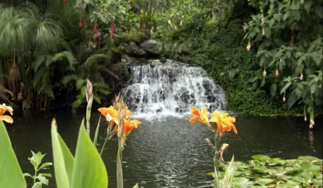 Quito Botanical Gardens