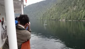 Photographing humpback whales