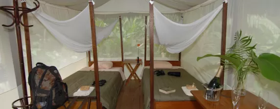 Manu Tented Camp