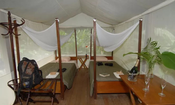 Manu Tented Camp