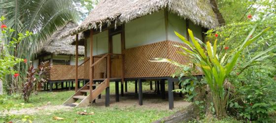 Manu Wildlife Center