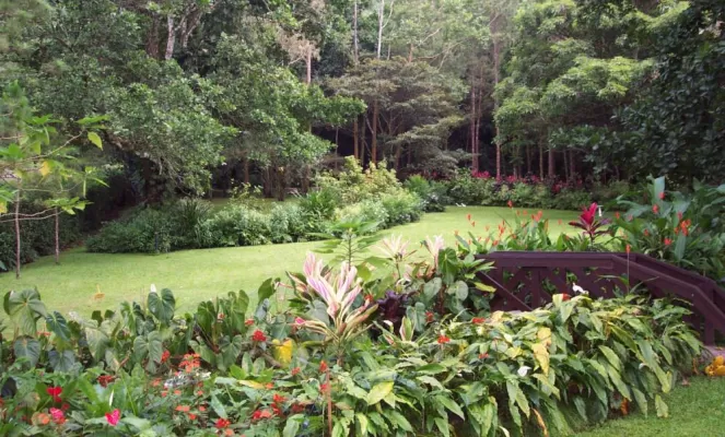 Take a walk in the beautiful gardens of Park Eden.