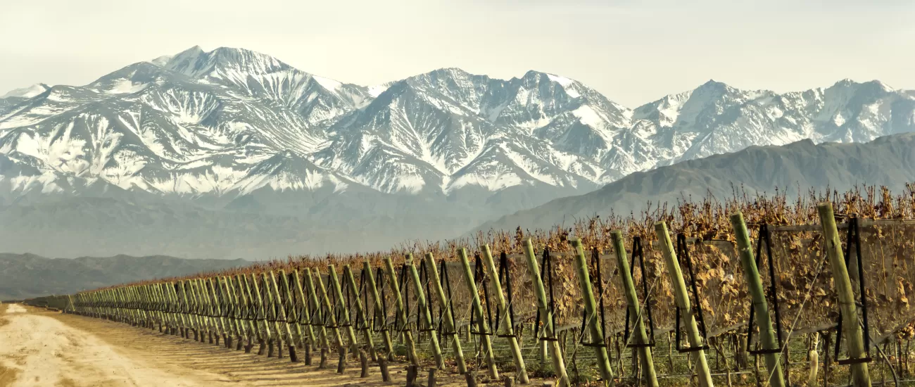 Explore vineyard in the mountains