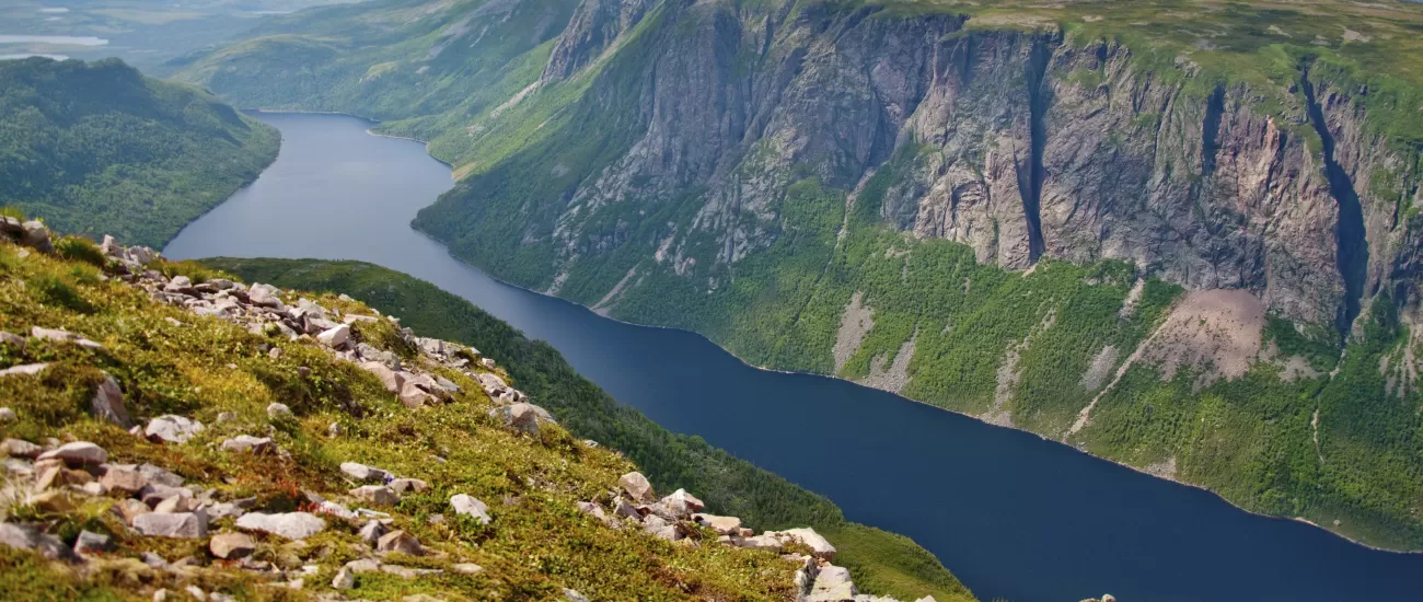 A view from the cliffs of Gros Morne National Park.