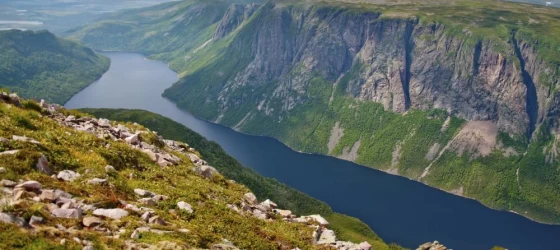 A view from the cliffs of Gros Morne National Park.