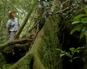 Explore the jungles of Costa Rica.