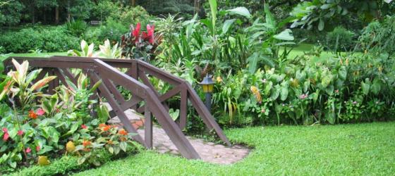 Take a walk in the beautiful garden surrounding the hotel.
