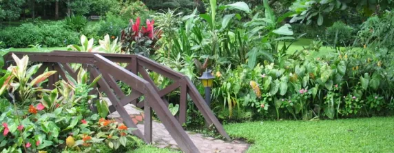 Take a walk in the beautiful garden surrounding the hotel.