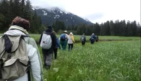 Hiking through the incredibly green valleys of Alaska