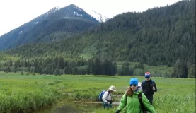 Enjoy a hike through the Alaskan wilderness