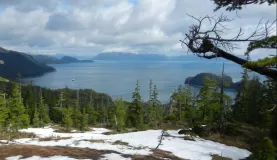 A view of beautiful Alaska