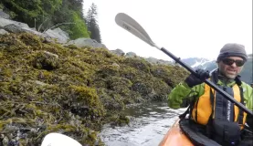 Kayaking around the coast of Alaska